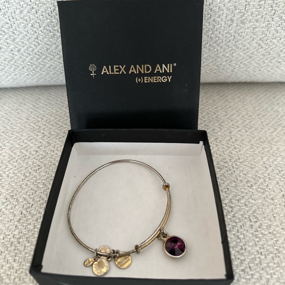 Alex & Ani Gold February Birthstone (amethyst)